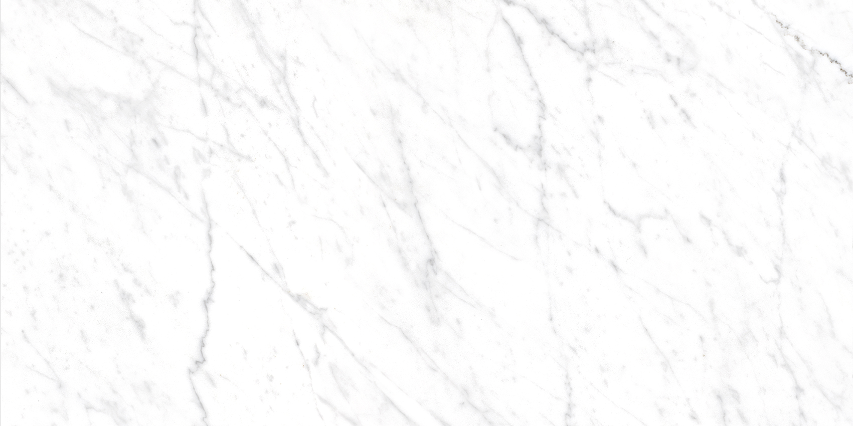 Bianca White - Image 22