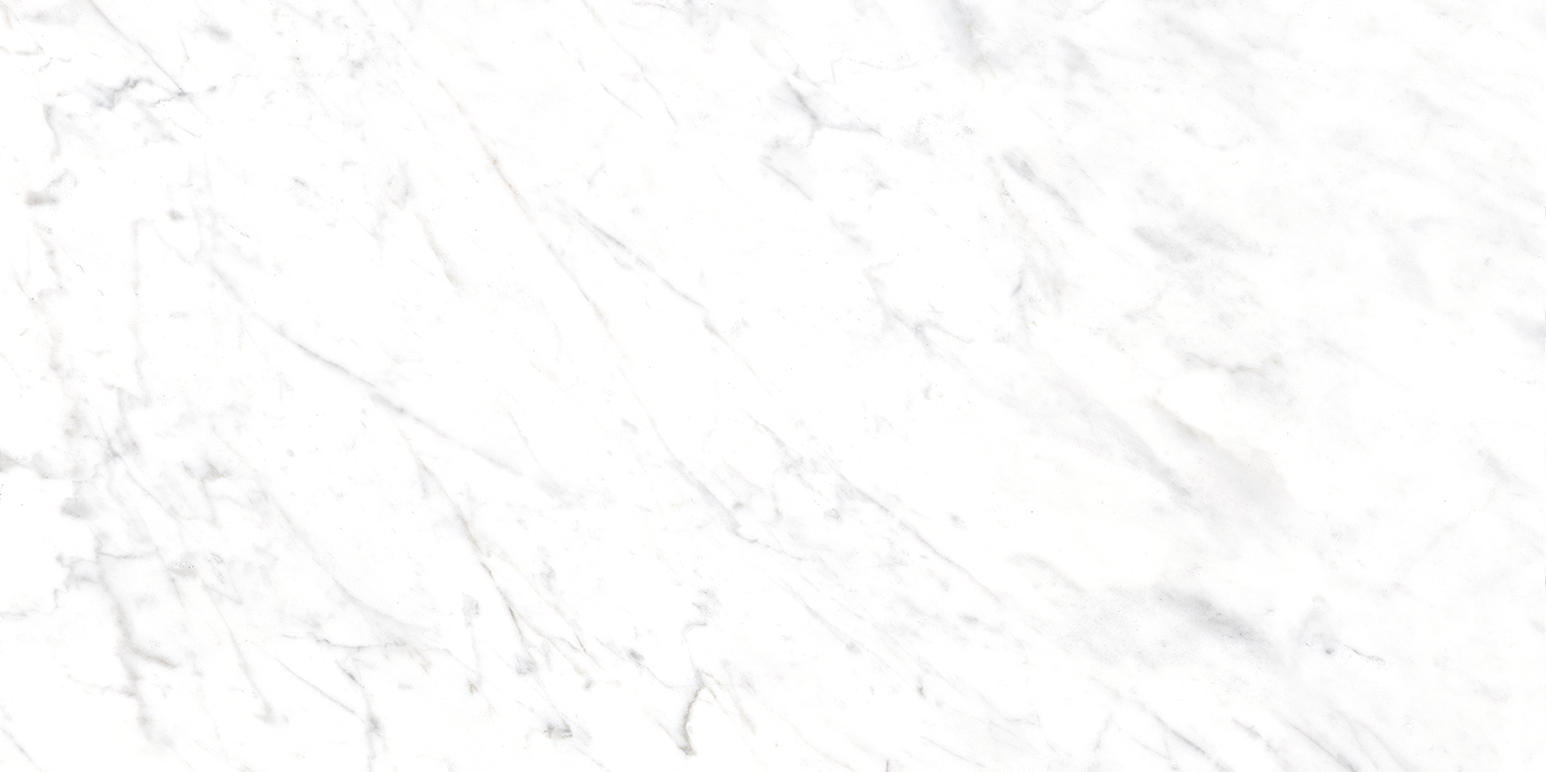 Bianca White - Image 14