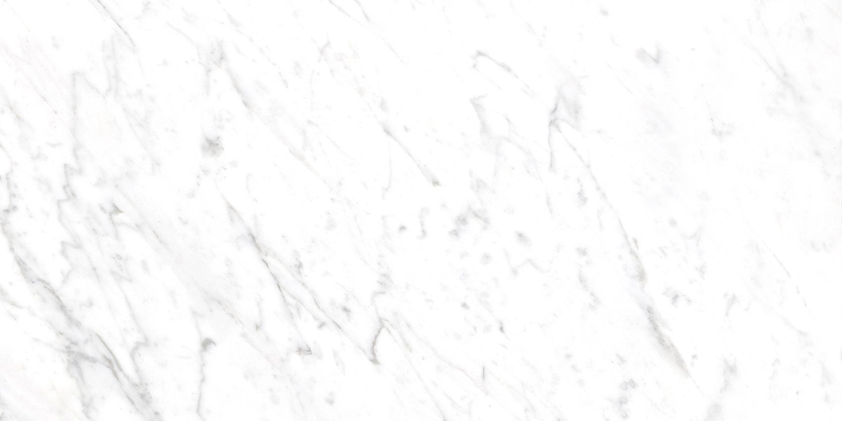 Bianca White - Image 16