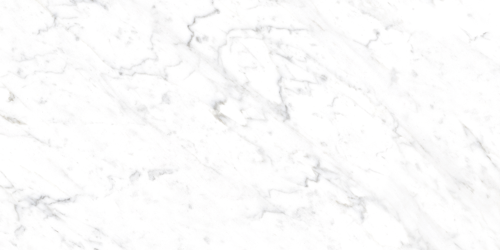 Bianca White - Image 18