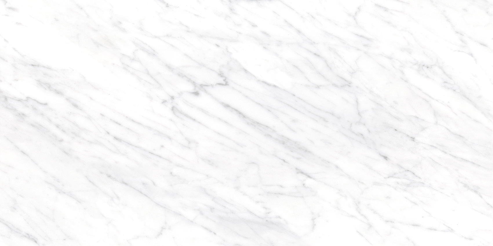 Bianca White - Image 20