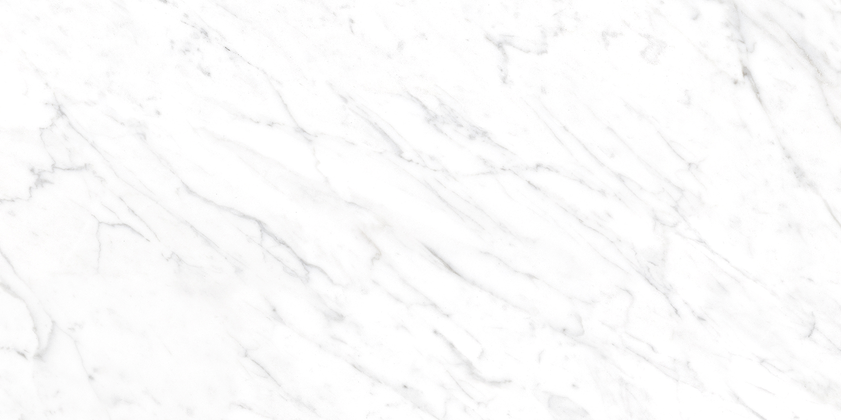 Bianca White - Image 21