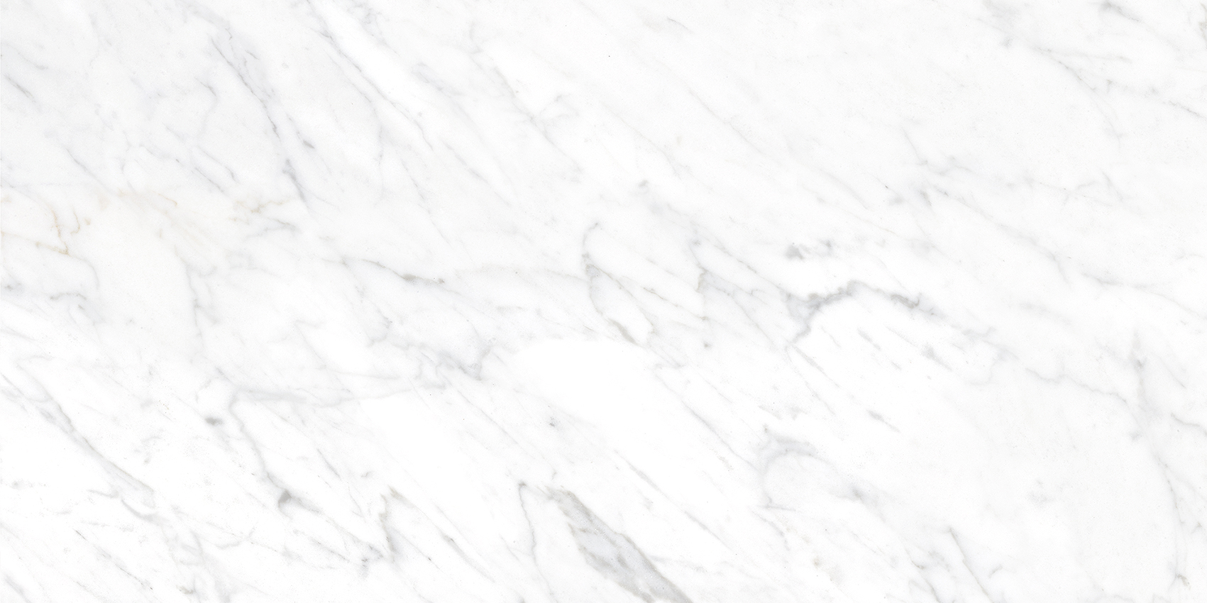 Bianca White - Image 4