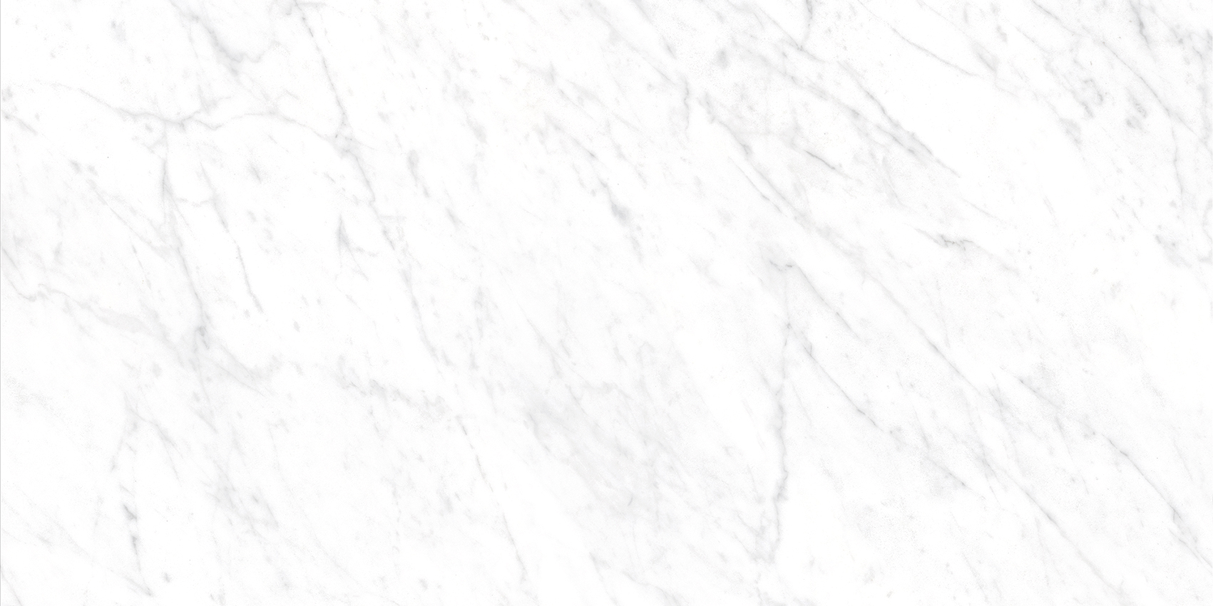 Bianca White - Image 5