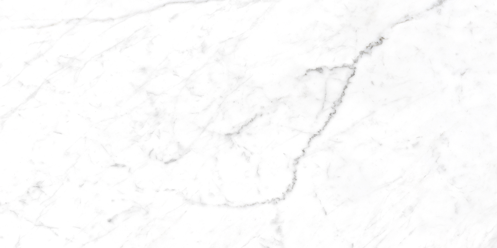 Bianca White - Image 6