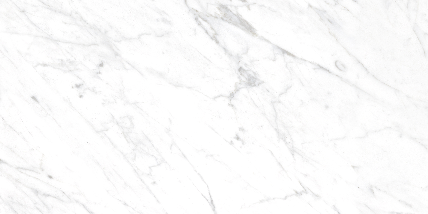 Bianca White - Image 7