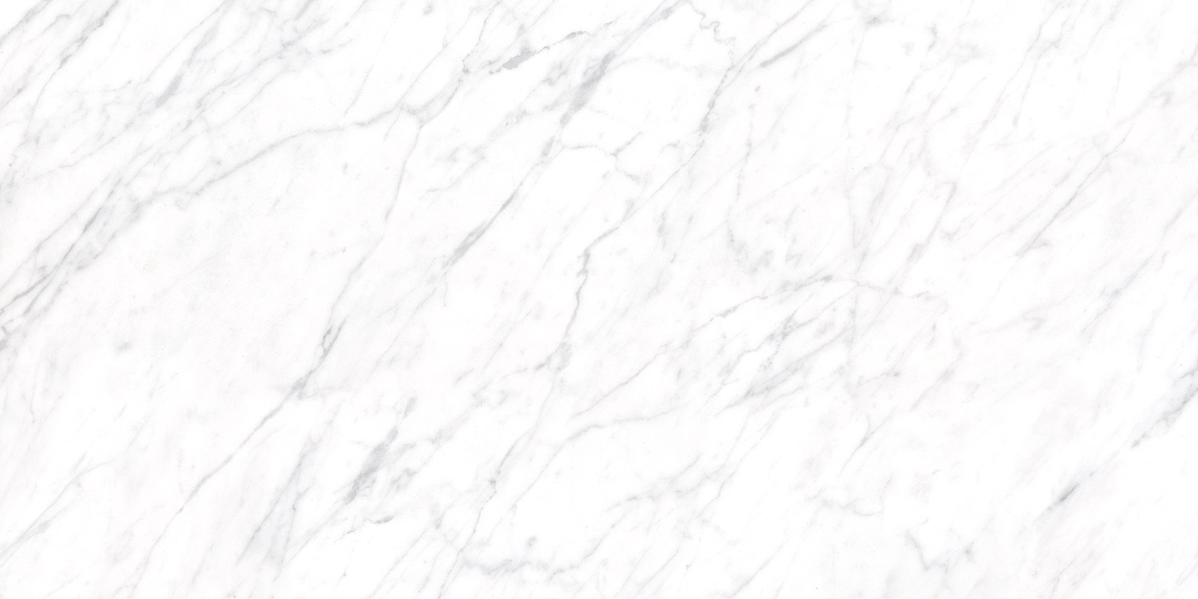 Bianca White - Image 9