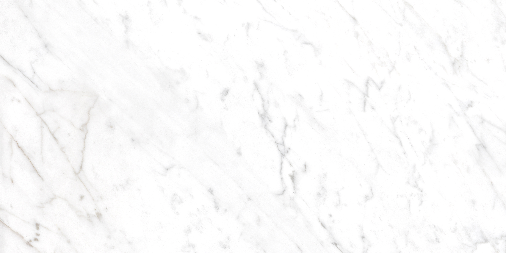 Bianca White - Image 10