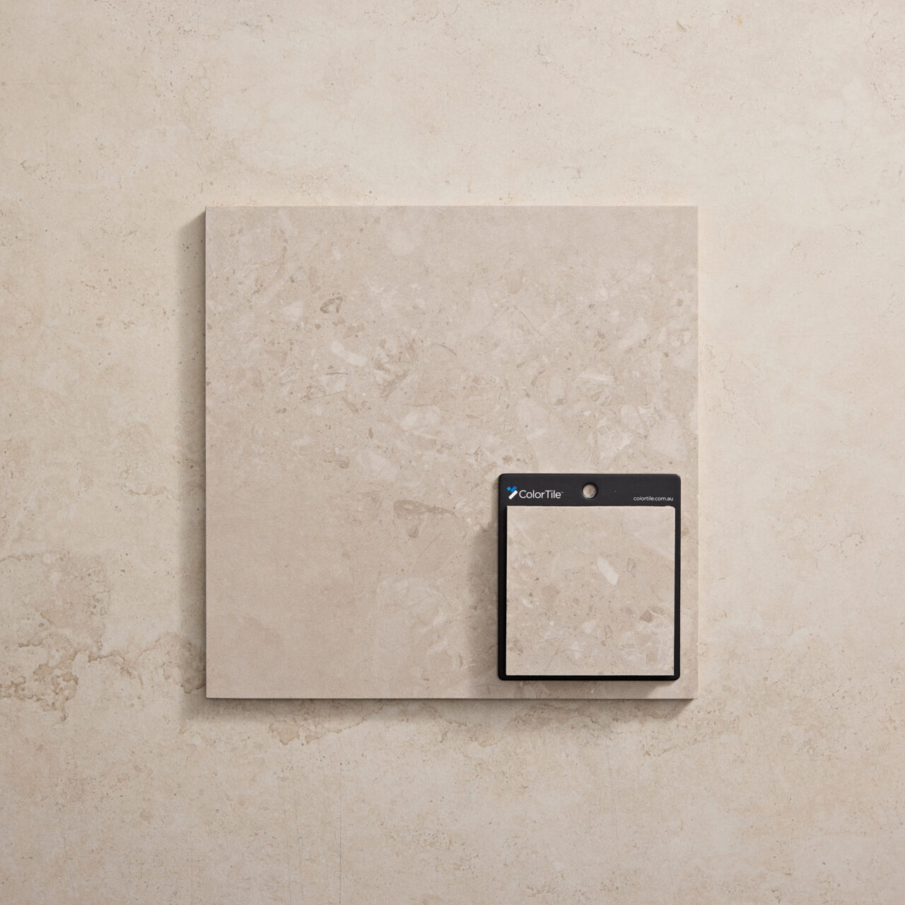 Cosmo Sand Terrazzo - Image 4