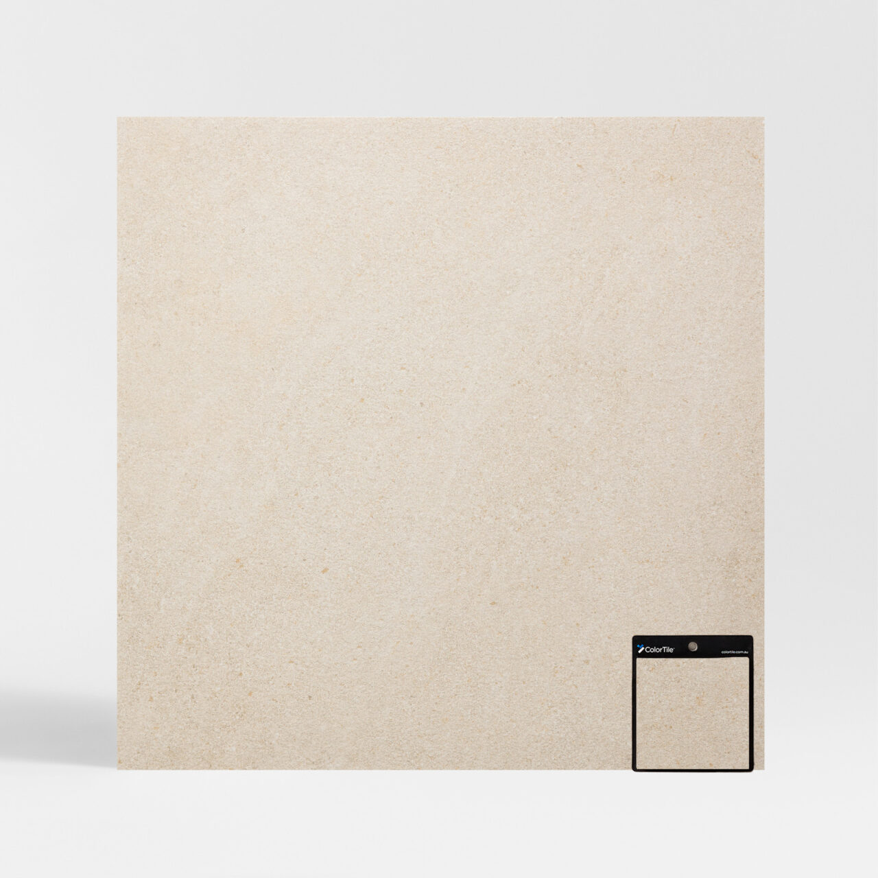 Panama Ivory - Image 4