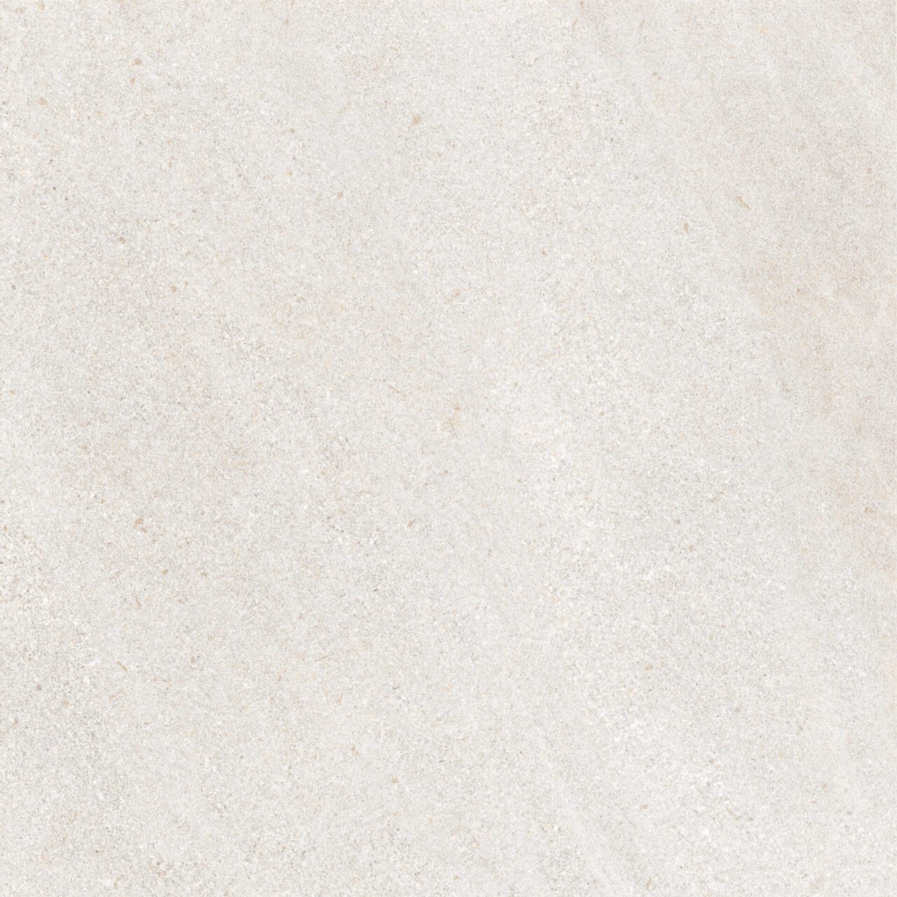 Panama Ivory - Image 11