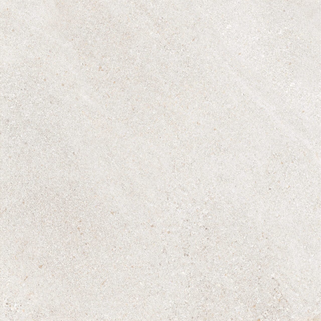 Panama Ivory - Image 13