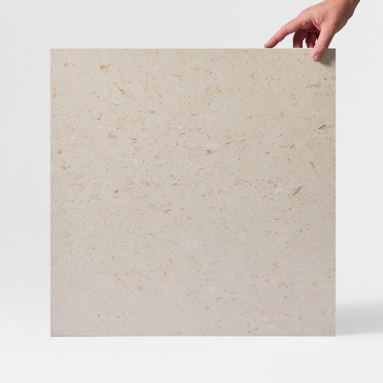 Miralith Gesso