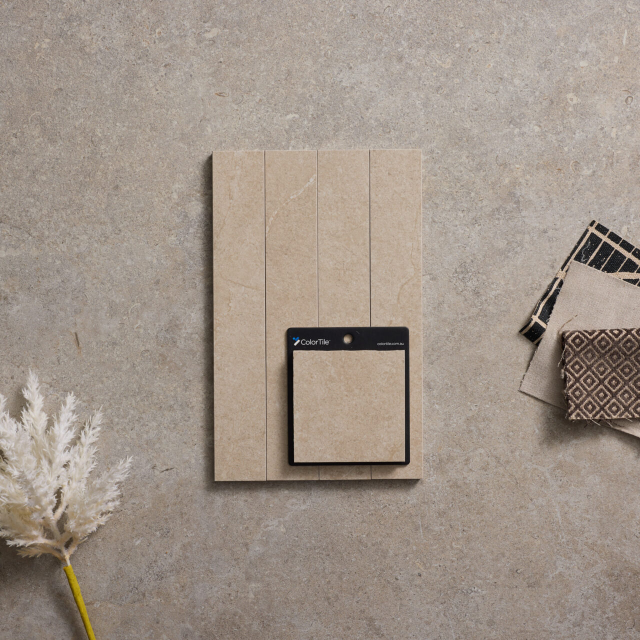 Paddington Beige - Image 4